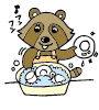 あらいぐまの画像