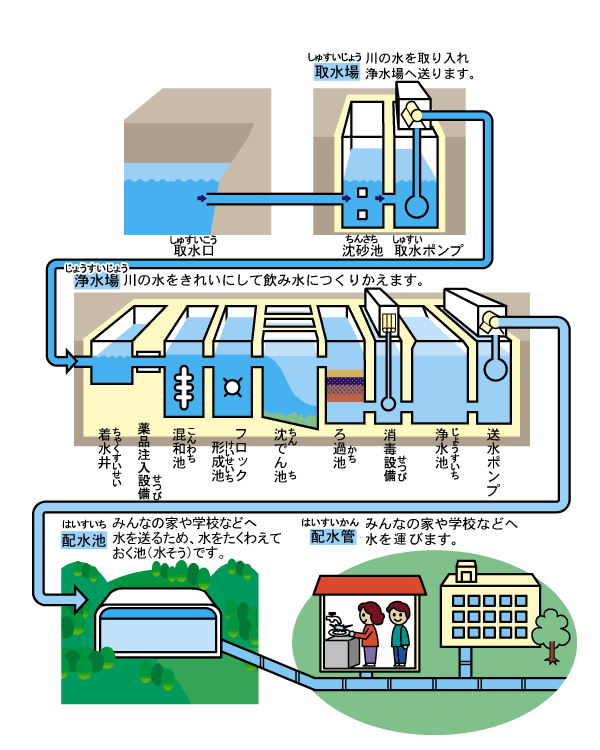 浄水場の仕事（取水場は川の水を取り入れ浄水場へ送ります。浄水場は川の水をきれいにして飲み水につくりかえます。配水地はみんなの家や学校などへ水を送るため、水をたくわえておく池です。配水管はみんなの家や学校などへ水を運びます。