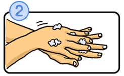 手の洗い方の画像2