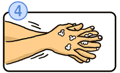 手の洗い方の画像4