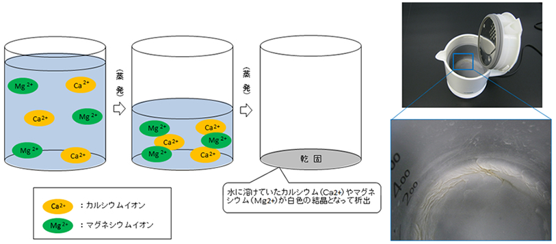 硬度成分の析出によって白くなっている様子