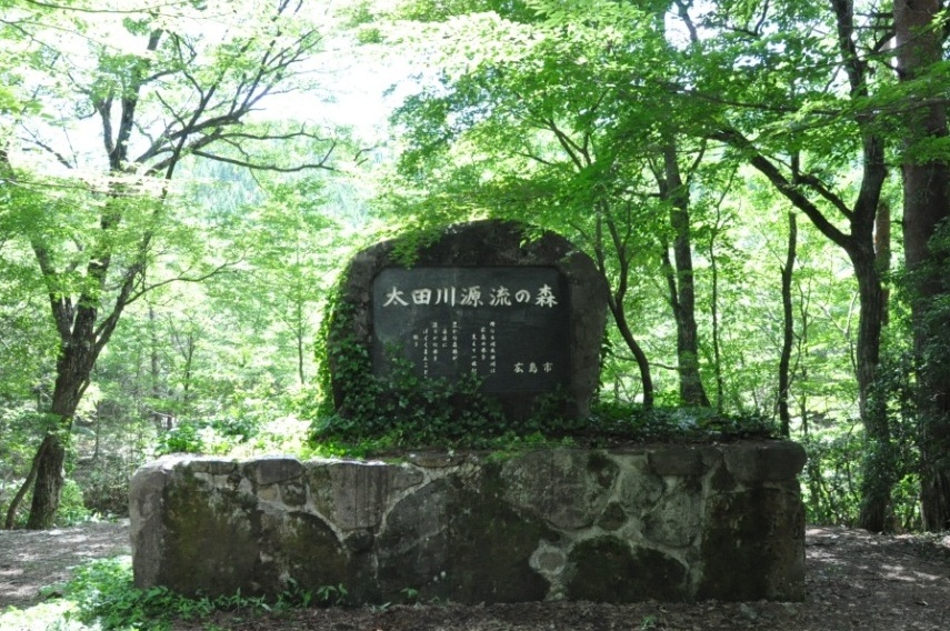 水源林「太田川源流の森」