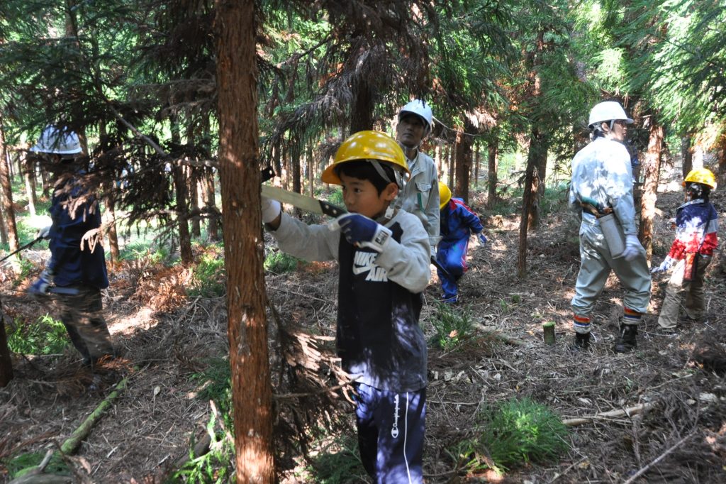 市民参加による森林保全活動