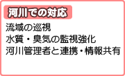 河川での対応（流域の巡視、水質・臭気の監視強化、河川管理者と連携・情報共有）