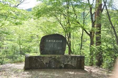 太田川源流の森の画像