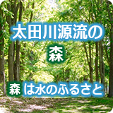 太田川源流の森の画像