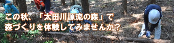 この秋、太田川源流の森で森づくりを体験してみませんか？