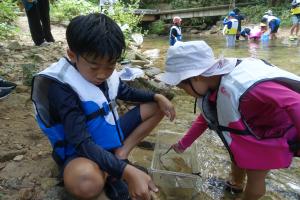 水生生物観察の様子