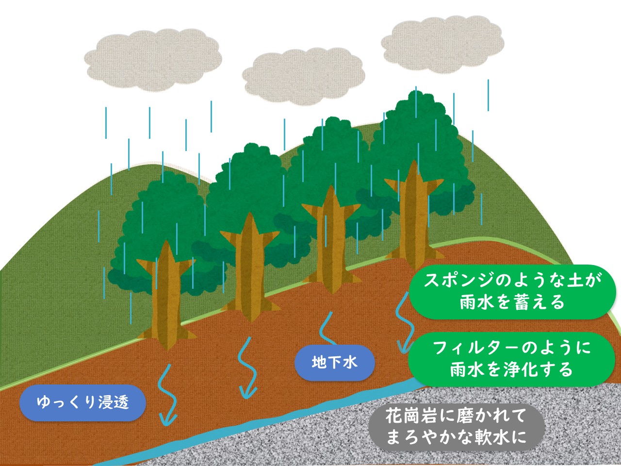 水源かん養機能