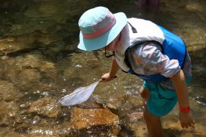 水生生物観察